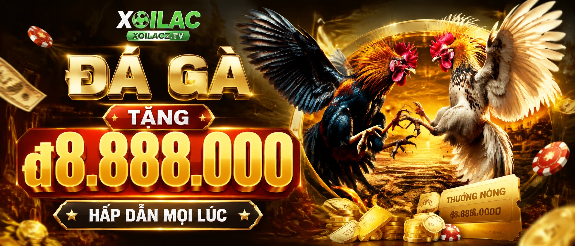 Đá Gà Cựa Sắt và khu nội dung liên quan